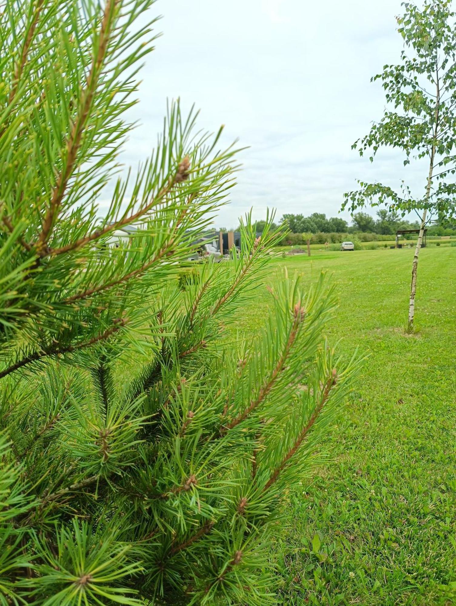 Ostoja Czersk Gora Kalwaria Zamek Krolowej Bony Domki Caloroczne Exterior foto